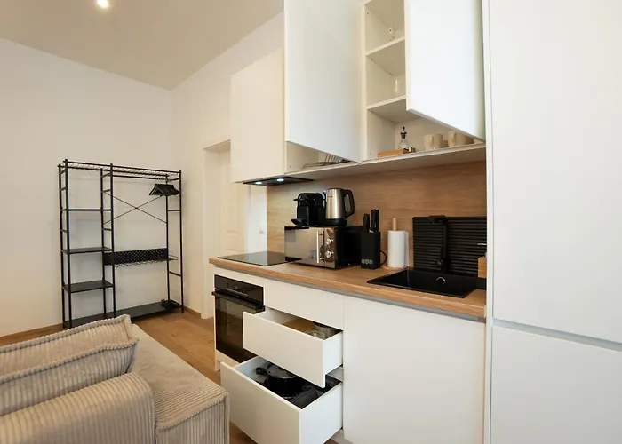 Bright, Modern And Flat With A Terrace Apartment Wien