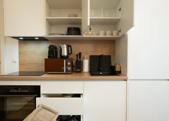 Bright, Modern And Flat With A Terrace Apartment Wien